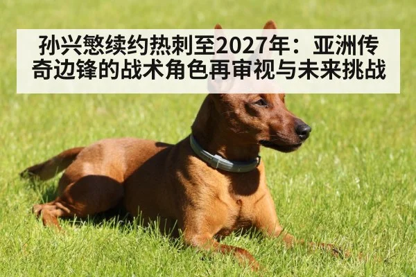 孙兴慜续约热刺至2027年:亚洲传奇边锋的战术角色再审视与未来挑战